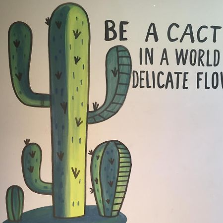 Bajas Cactus Hostel Cabo San Lucas Eksteriør bilde