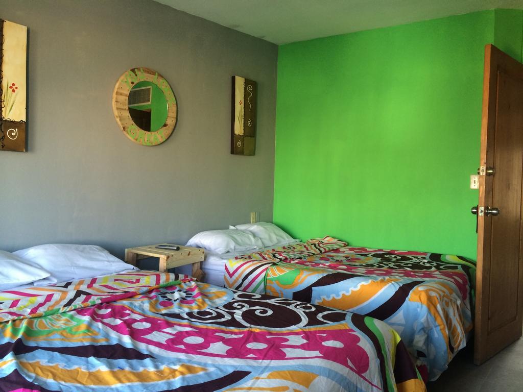 Bajas Cactus Hostel Cabo San Lucas Rom bilde