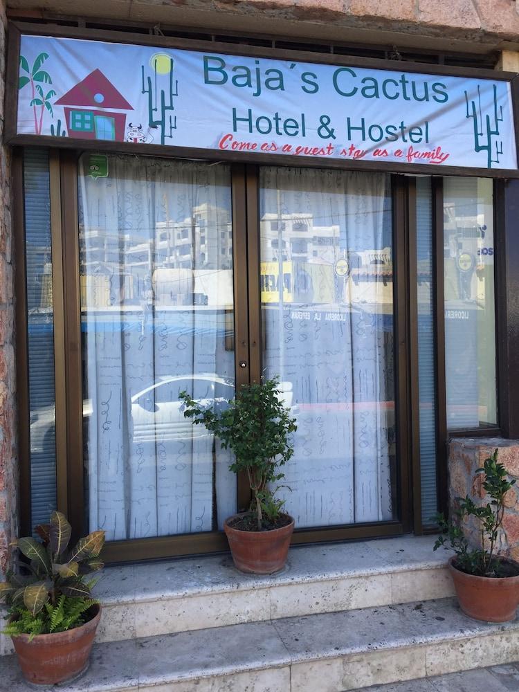 Bajas Cactus Hostel Cabo San Lucas Eksteriør bilde