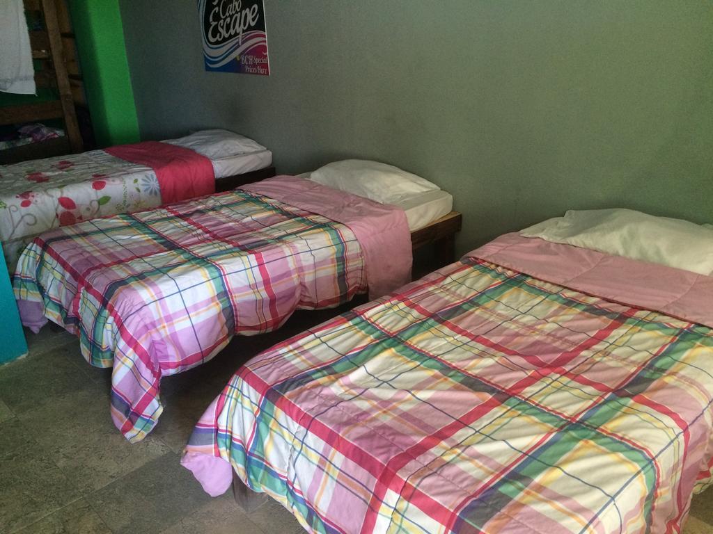 Bajas Cactus Hostel Cabo San Lucas Rom bilde