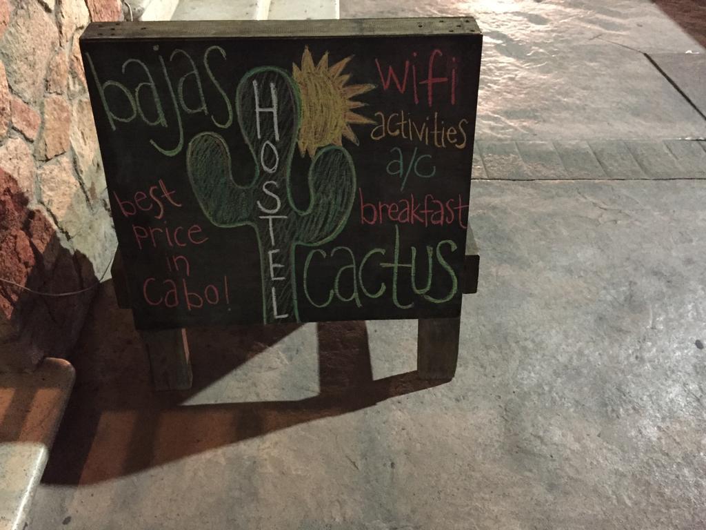Bajas Cactus Hostel Cabo San Lucas Eksteriør bilde