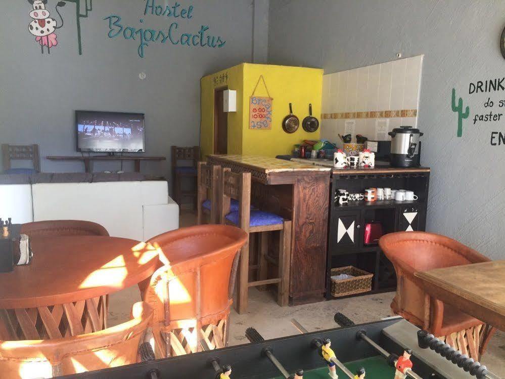 Bajas Cactus Hostel Cabo San Lucas Eksteriør bilde