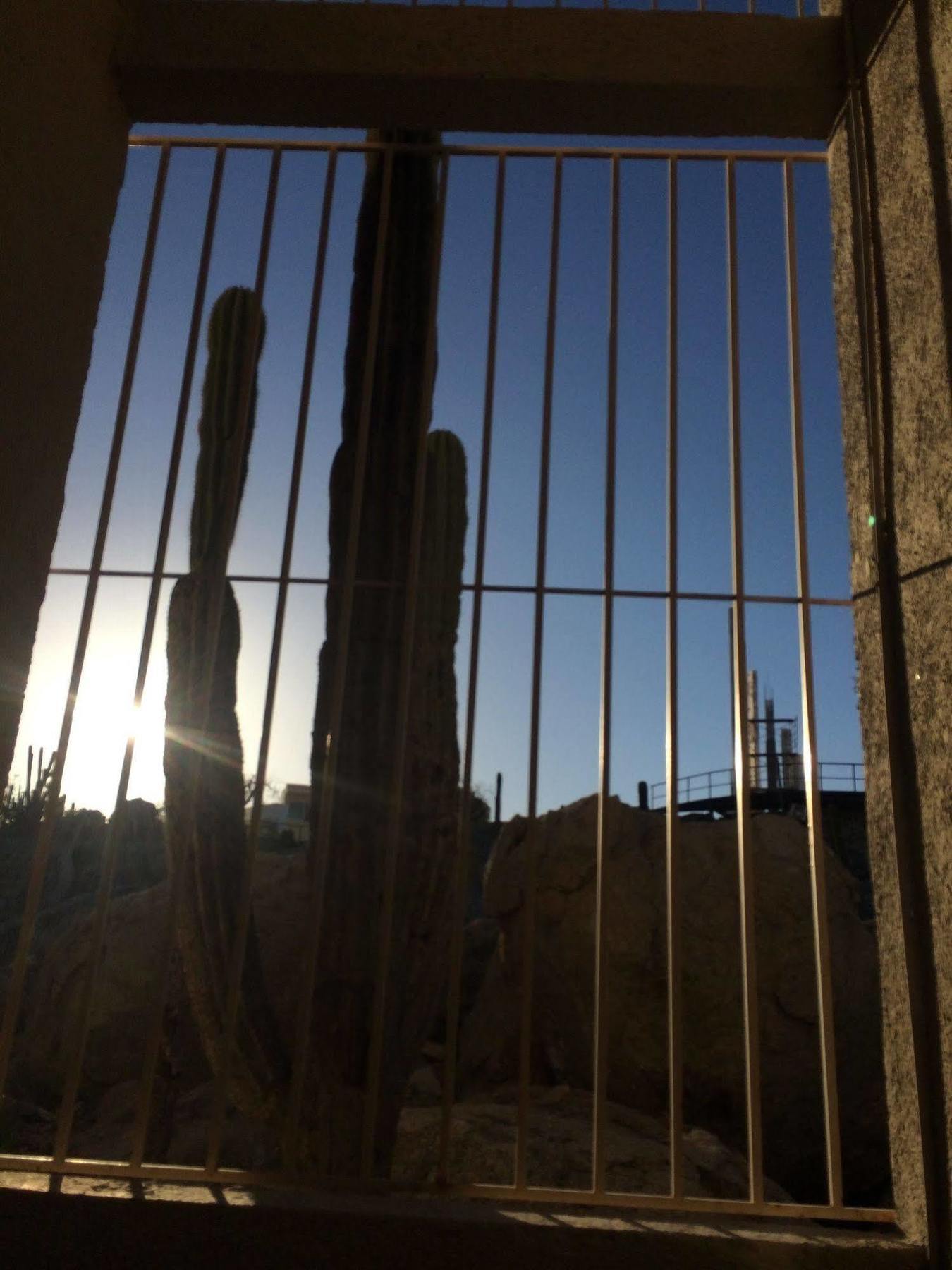 Bajas Cactus Hostel Cabo San Lucas Eksteriør bilde