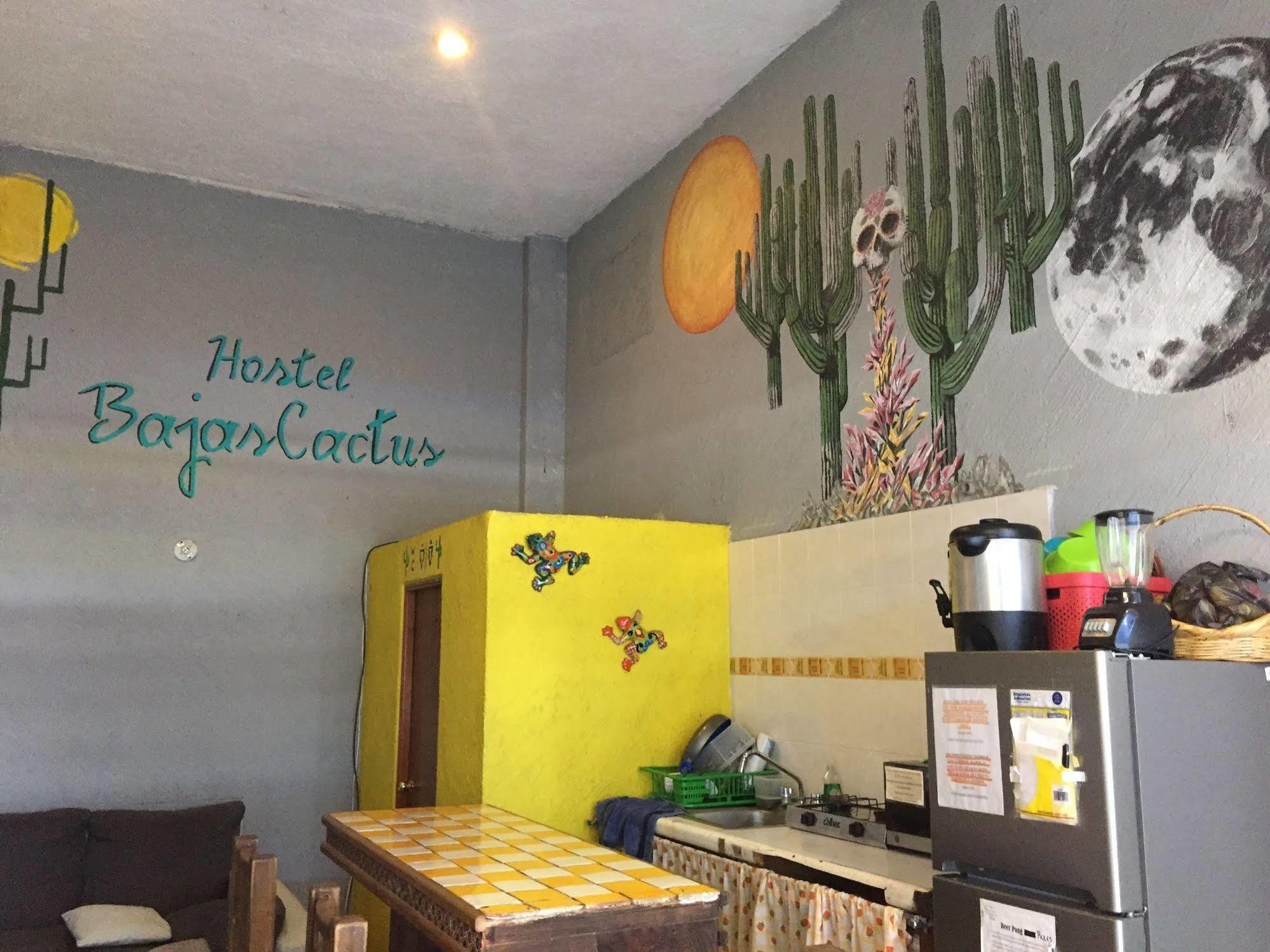 Bajas Cactus Hostel Cabo San Lucas Eksteriør bilde