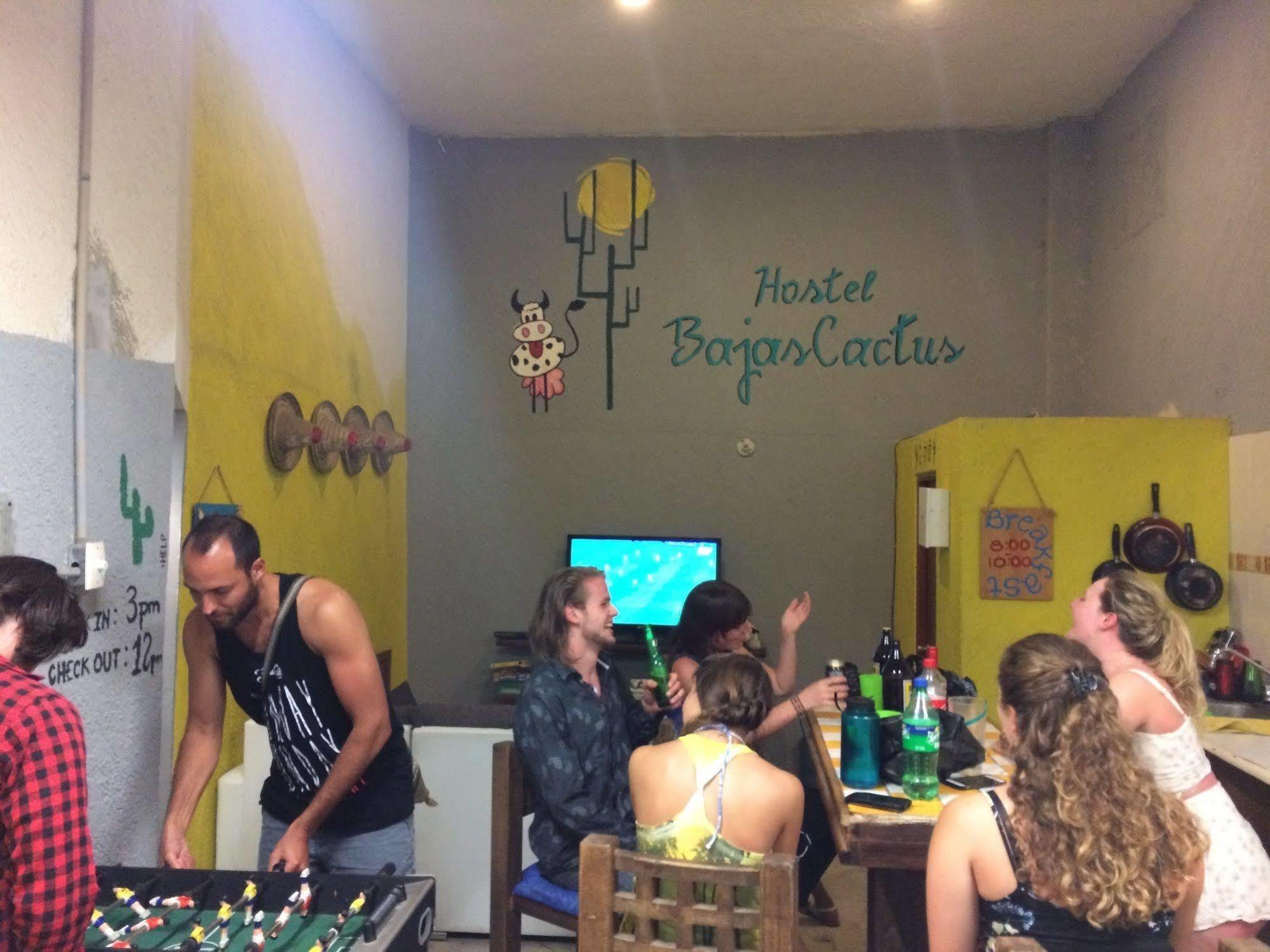 Bajas Cactus Hostel Cabo San Lucas Eksteriør bilde