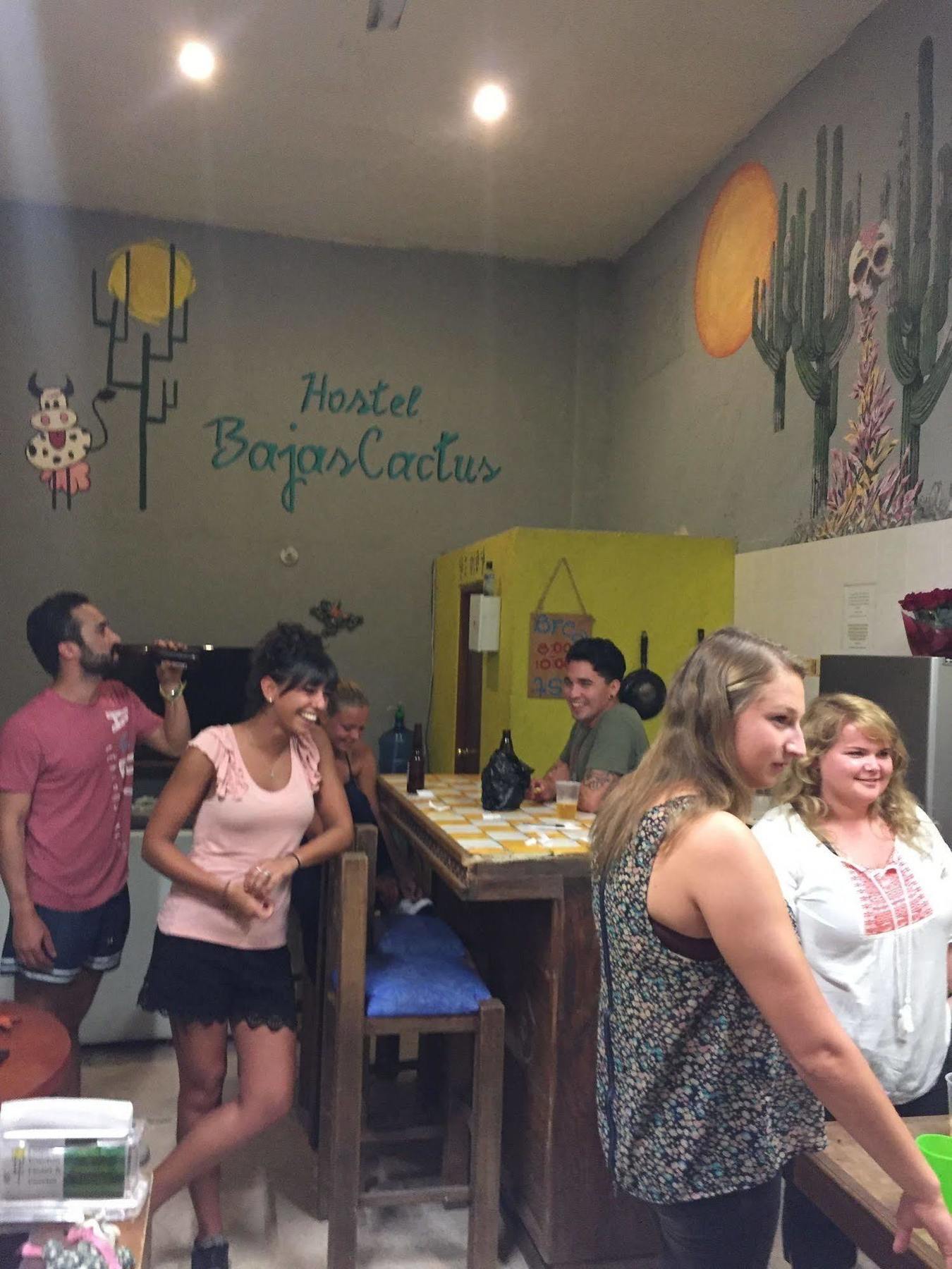 Bajas Cactus Hostel Cabo San Lucas Eksteriør bilde