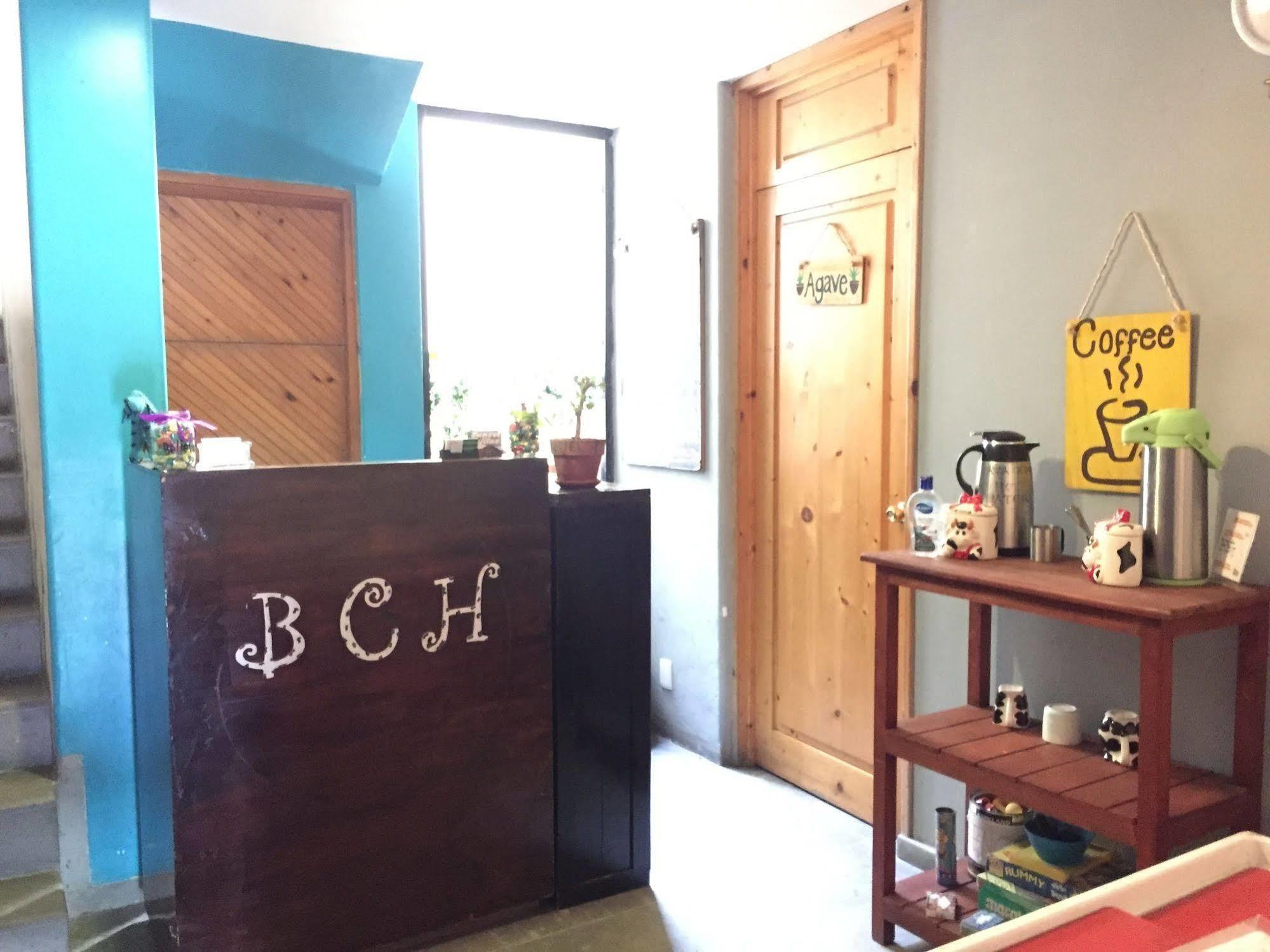 Bajas Cactus Hostel Cabo San Lucas Eksteriør bilde