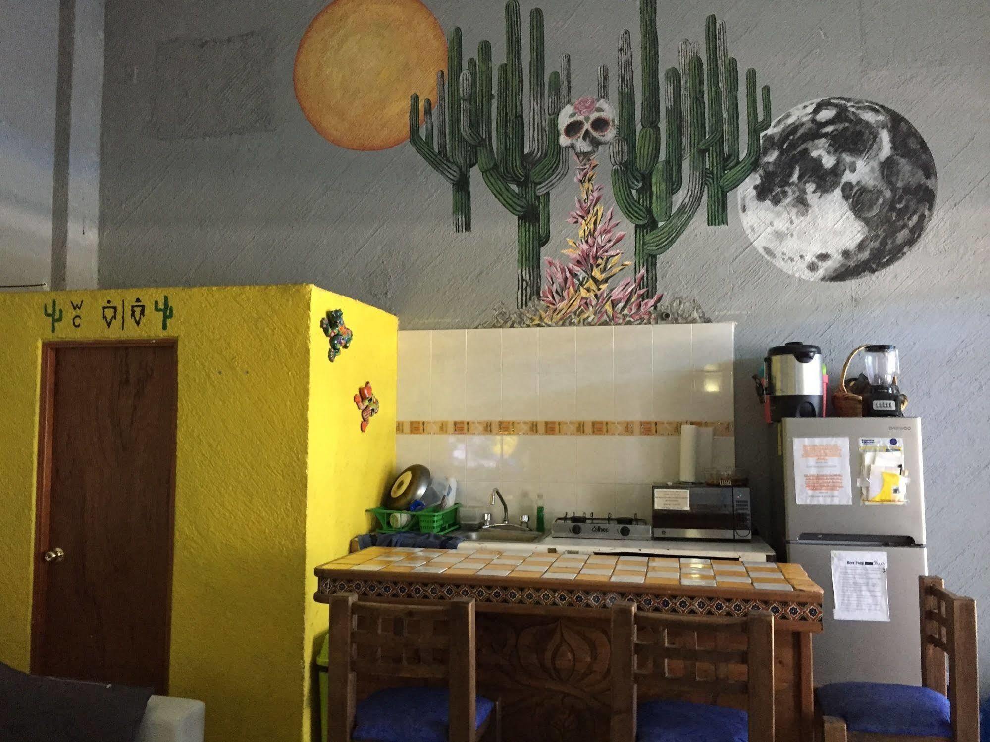 Bajas Cactus Hostel Cabo San Lucas Eksteriør bilde