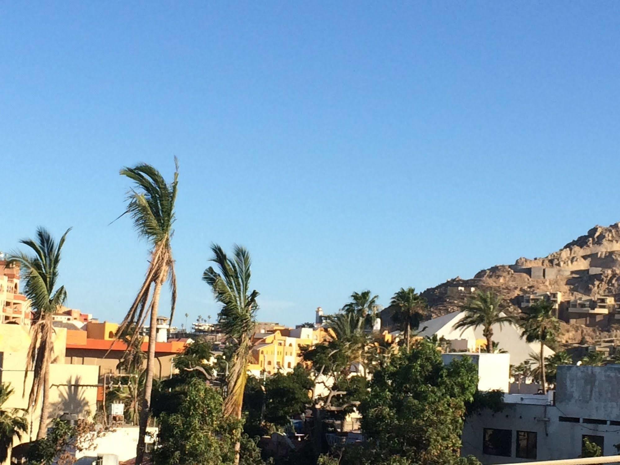 Bajas Cactus Hostel Cabo San Lucas Eksteriør bilde