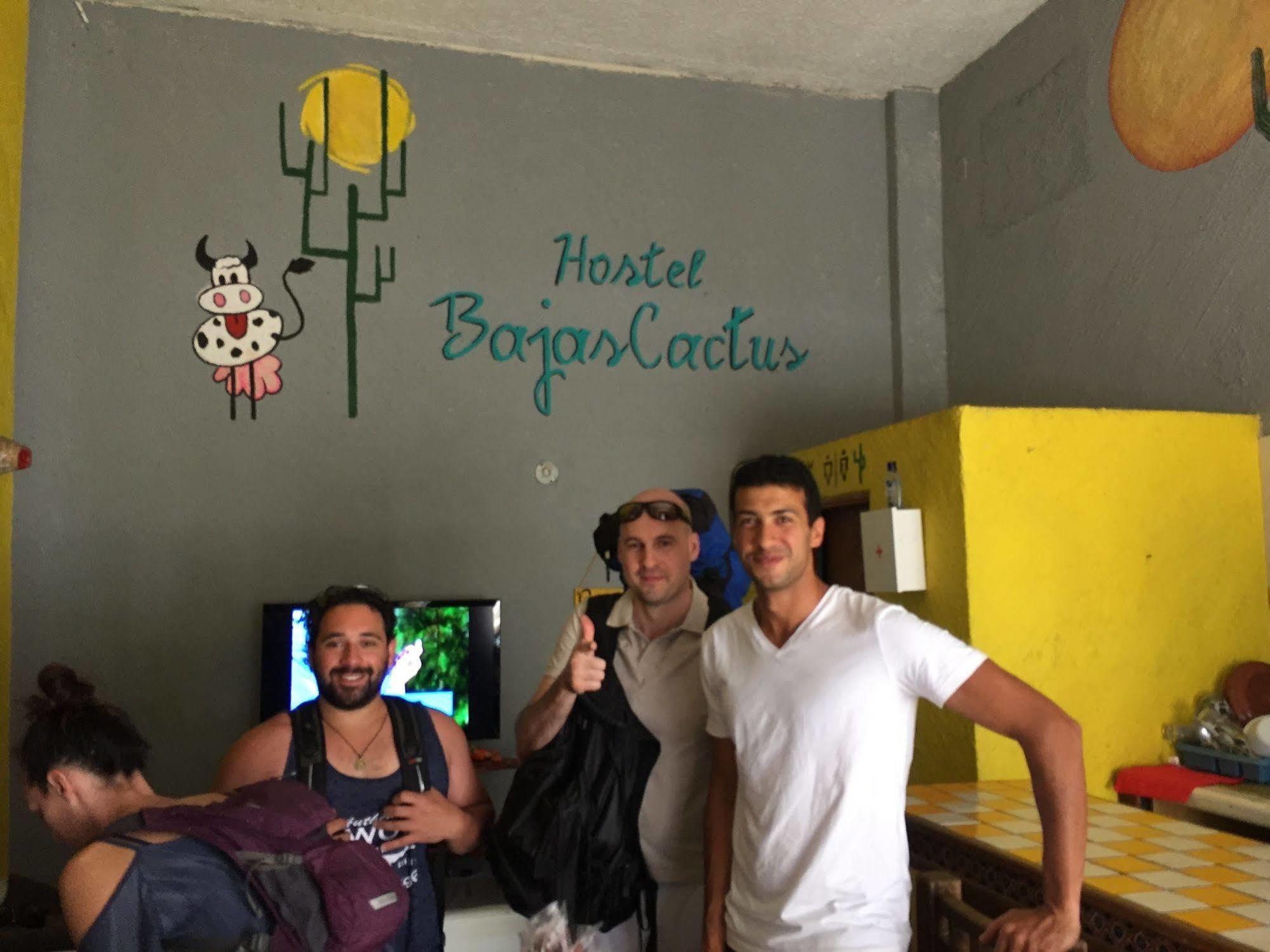 Bajas Cactus Hostel Cabo San Lucas Eksteriør bilde