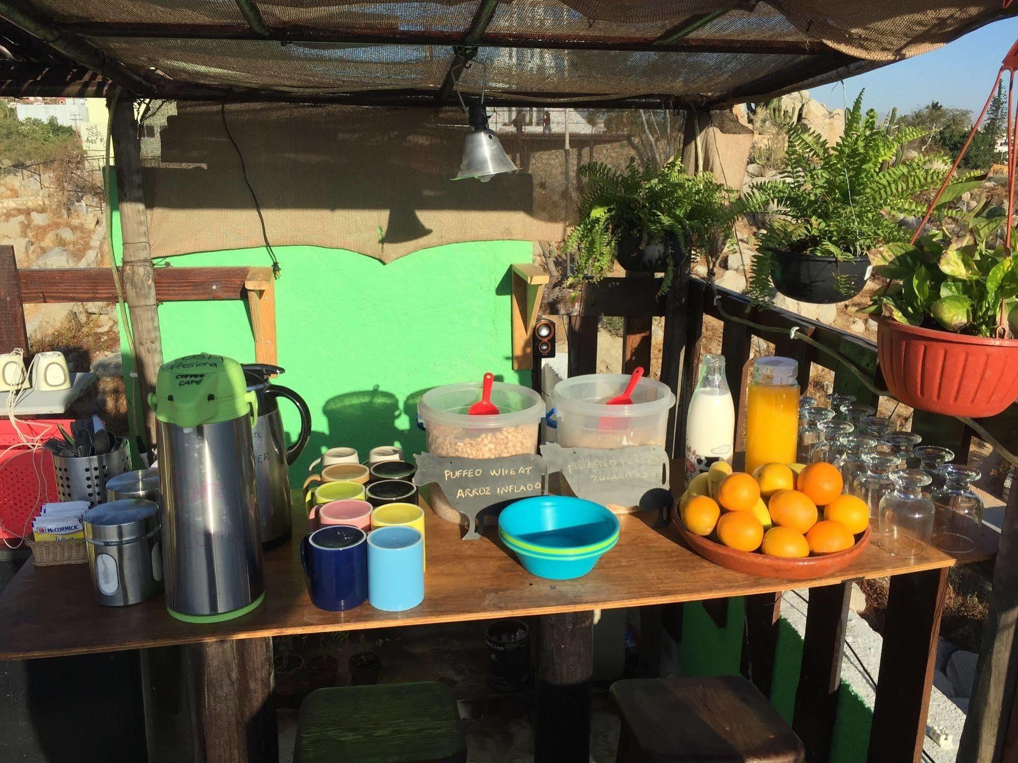 Bajas Cactus Hostel Cabo San Lucas Eksteriør bilde