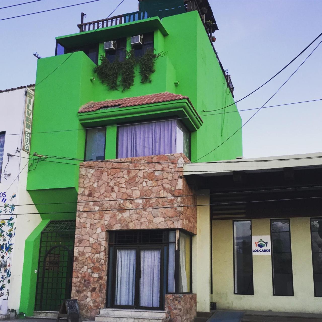 Bajas Cactus Hostel Cabo San Lucas Eksteriør bilde