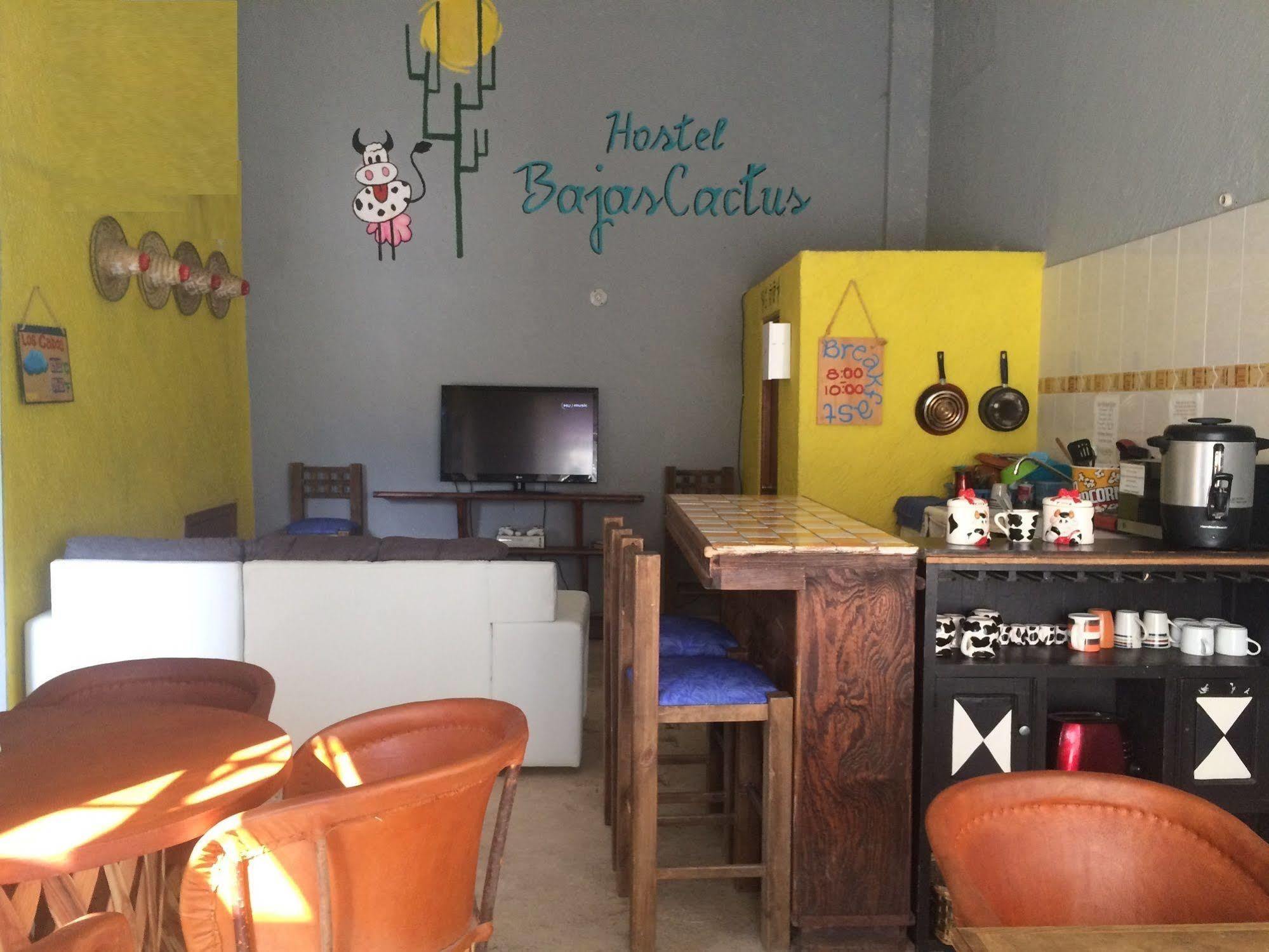 Bajas Cactus Hostel Cabo San Lucas Eksteriør bilde
