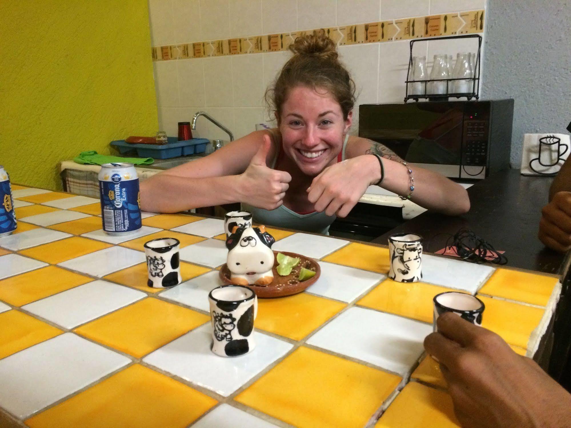 Bajas Cactus Hostel Cabo San Lucas Eksteriør bilde