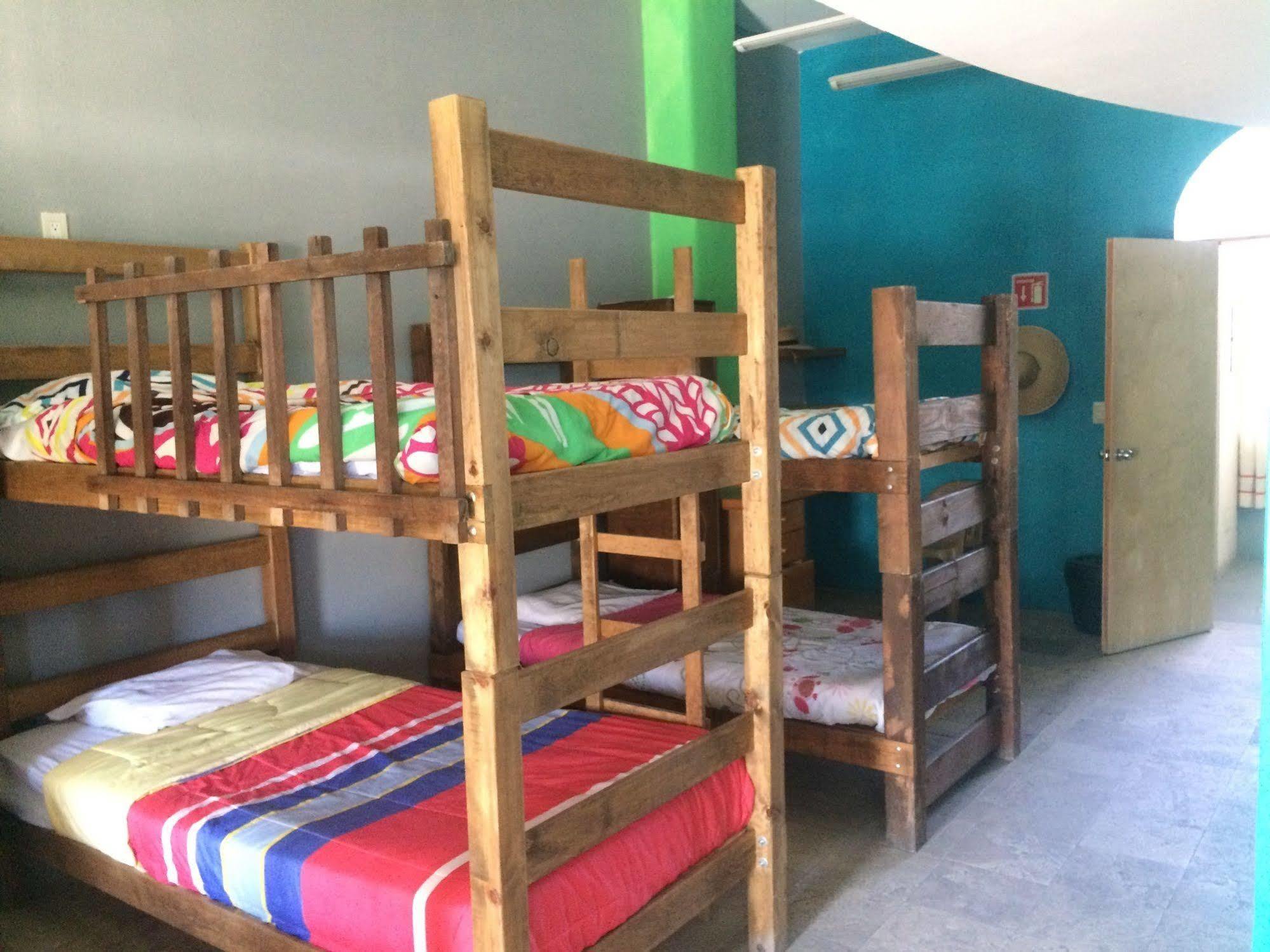 Bajas Cactus Hostel Cabo San Lucas Eksteriør bilde