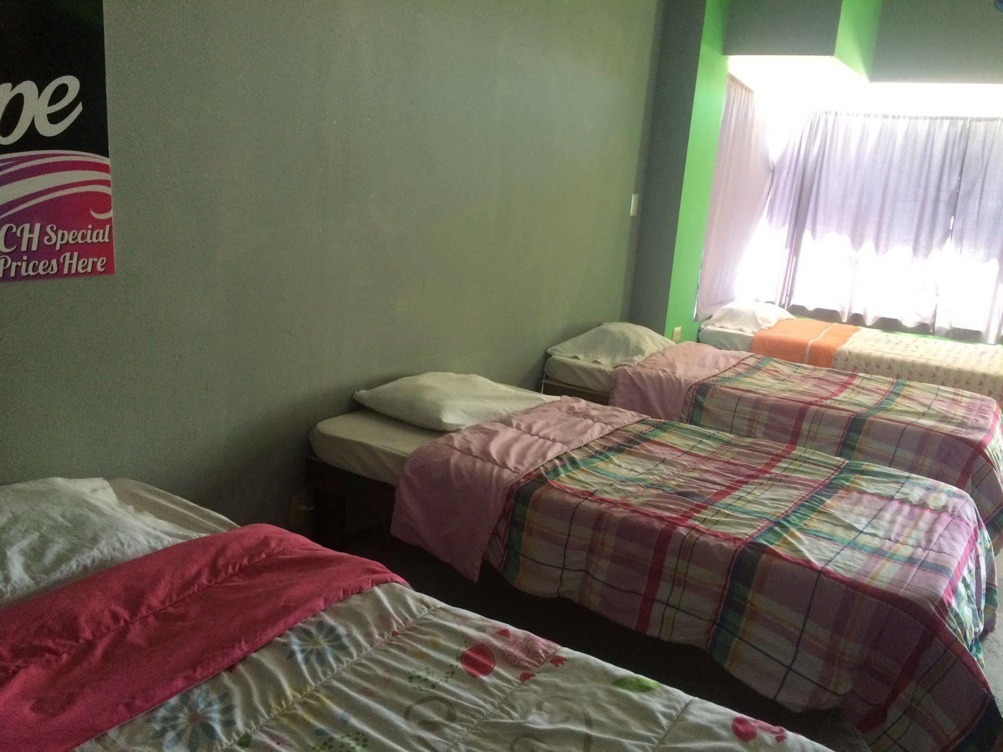 Bajas Cactus Hostel Cabo San Lucas Eksteriør bilde