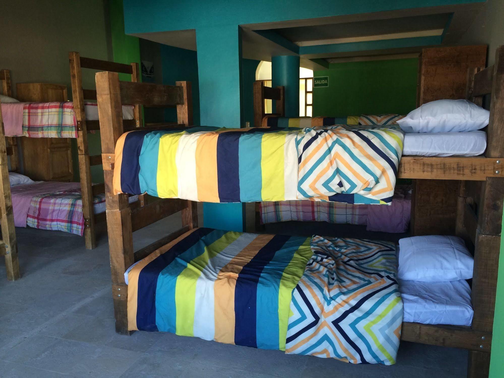 Bajas Cactus Hostel Cabo San Lucas Eksteriør bilde