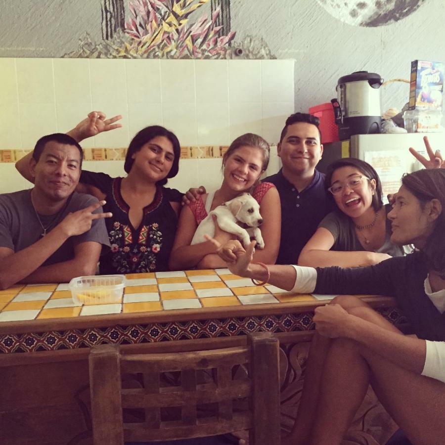 Bajas Cactus Hostel Cabo San Lucas Eksteriør bilde