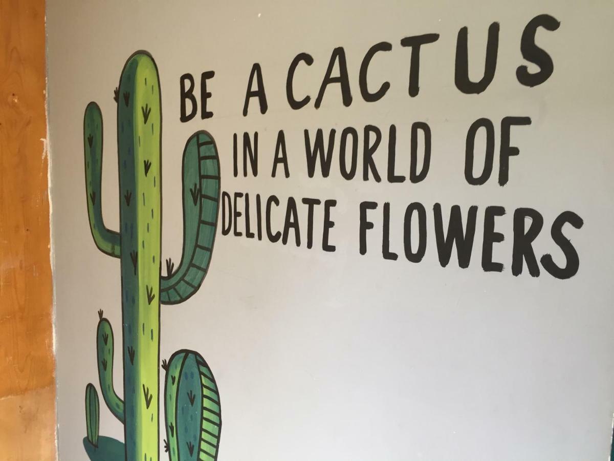 Bajas Cactus Hostel Cabo San Lucas Eksteriør bilde